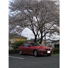 ゴロウ教授さんのSERIES_3_CABRIOLET