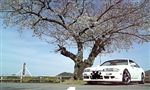 日産 シルビア