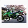 KMXのKMX125