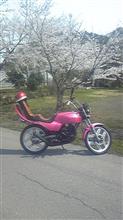 ホンダ MBX50 AC03