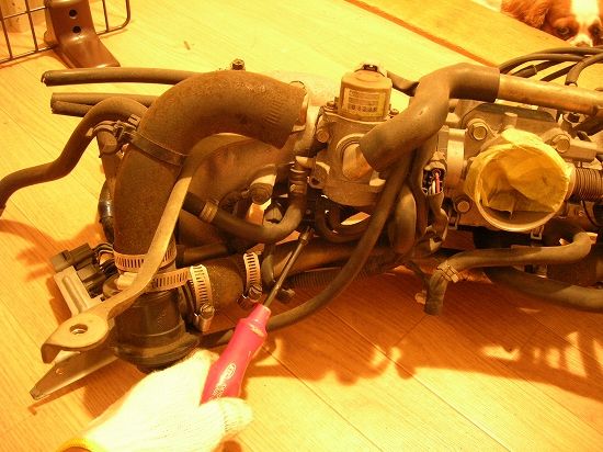 ＧＣ８　キャニスターパージコントロールソレノイド