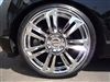 weds kranze GLOSSA 898EVO