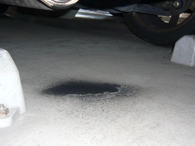 床まで黒助