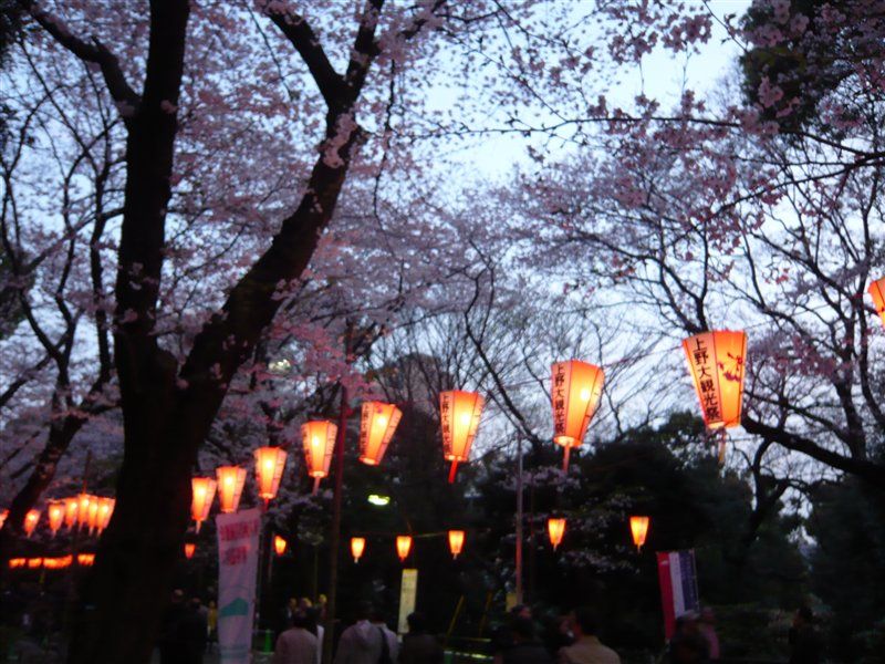 まるで夜祭(*ﾟーﾟ)