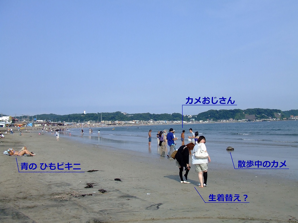 由比ヶ浜