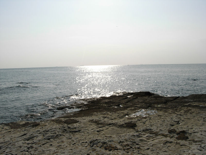 野間海岸