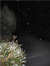 雷雪・・・