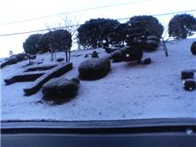 雪(^O^)