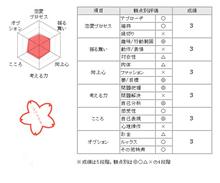 中学生グループ交際級 中学生グループ交際級