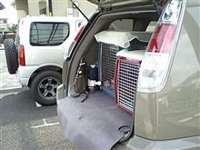 そろそろ、わんこ仕様