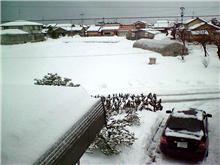 ちょっとマシな雪