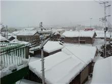 今日は大雪。