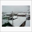 今日は大雪。