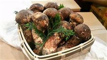 秋の味覚が出て来た来た！
