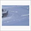 除雪やり直しだな、こりゃ。