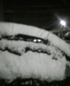 今日も雪がやまないですね