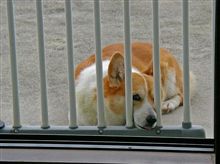 その顔は止めなさい