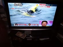 ついに買ったんですが・・・。