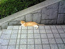 そして城ヶ島には
