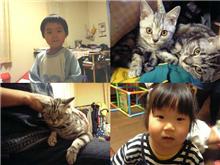 こにゃんこ・怪獣兄妹に会いに行く!!