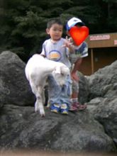 困ったモンだ…(苦笑)