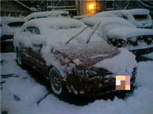 おはようございます～今朝の愛知は大雪です