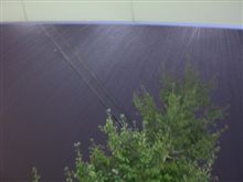 大雨です！！