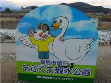 白鳥