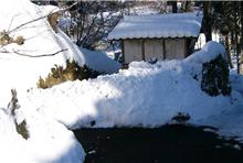 雪国のみなさん　『頑張れ～！　負けるな～！』その弍