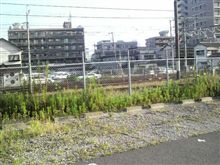 今日も秋晴れ～