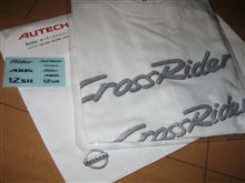 こんなのが届きました(^―^)