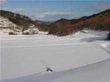 一夜明けて