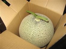 先日の結果は今日の予定なのだが