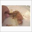 世界の坂じゅん 栄店
