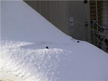 対抗してるわけではないんですけど・・・