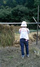 涼しくなりましたが...