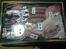 ２つの頂き物。うち１つはどうすっか？？