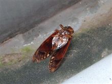 しみじみ、と