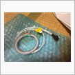 烏賊入荷ｷﾀｺﾚwww