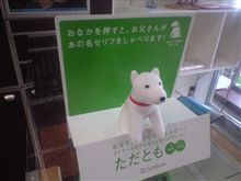 さわってもいいよ？