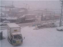 名古屋市内も早くも雪