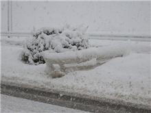 この大雪のため、また一人、誰かが犠牲に・・・