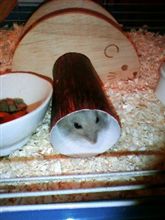【ゆん】がいないっ！((((；ﾟДﾟ)))