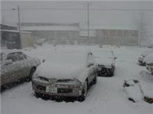 豪雪
