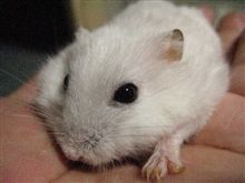 （ー人ー）・・・。