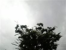 台風一過にはならず