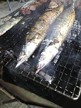さんまを