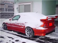 昨日の大雪で・・・