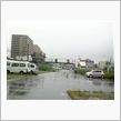 雨
