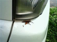 窮屈だわ 窮屈だわ